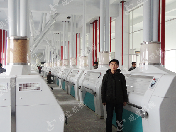 大型日產(chǎn)200噸面粉加工廠設(shè)備，自動(dòng)化生產(chǎn)線